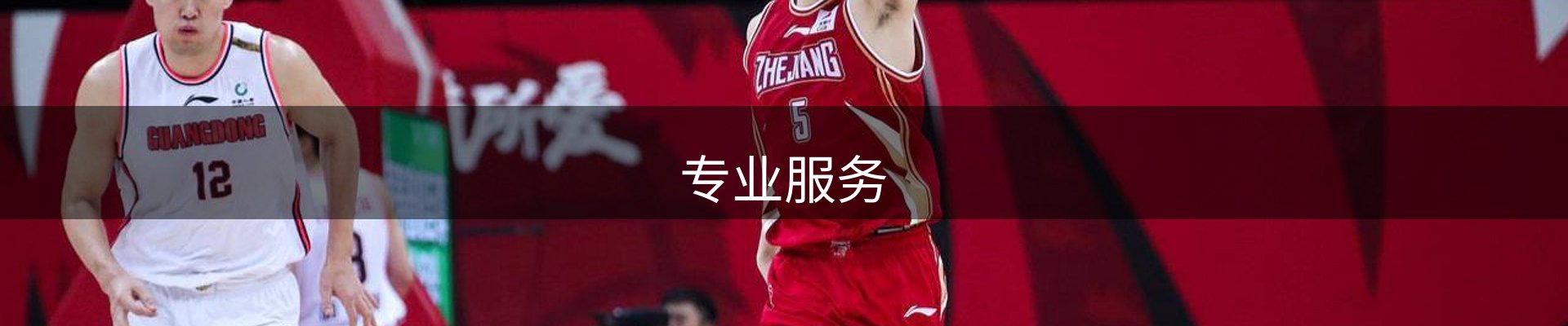 专业服务